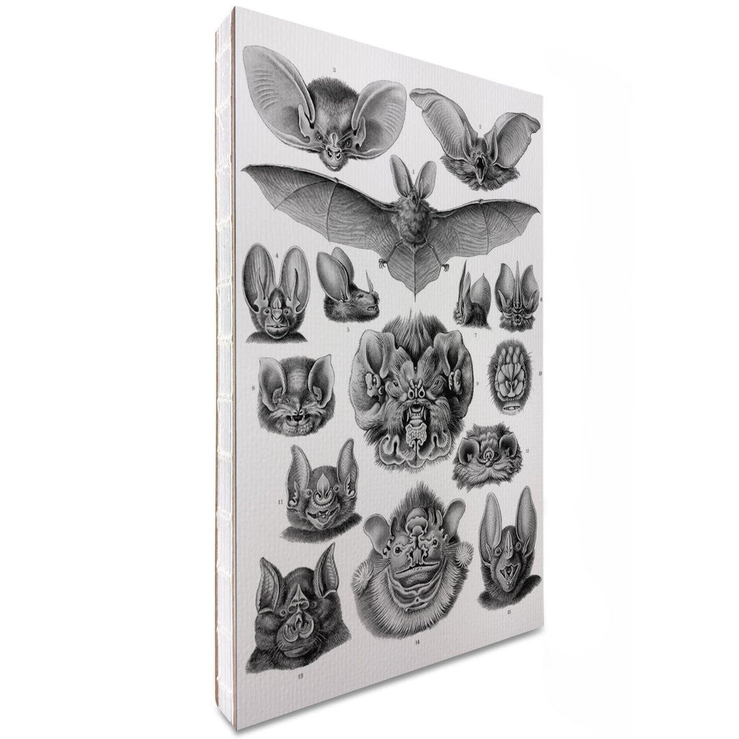Lined 6x9 Journal, Art Forms of Nature, Chiroptera (Bats), Ernst Haeckel Artwork, Lay Flat, 193 Pages, FSC paper Home Lantern Press