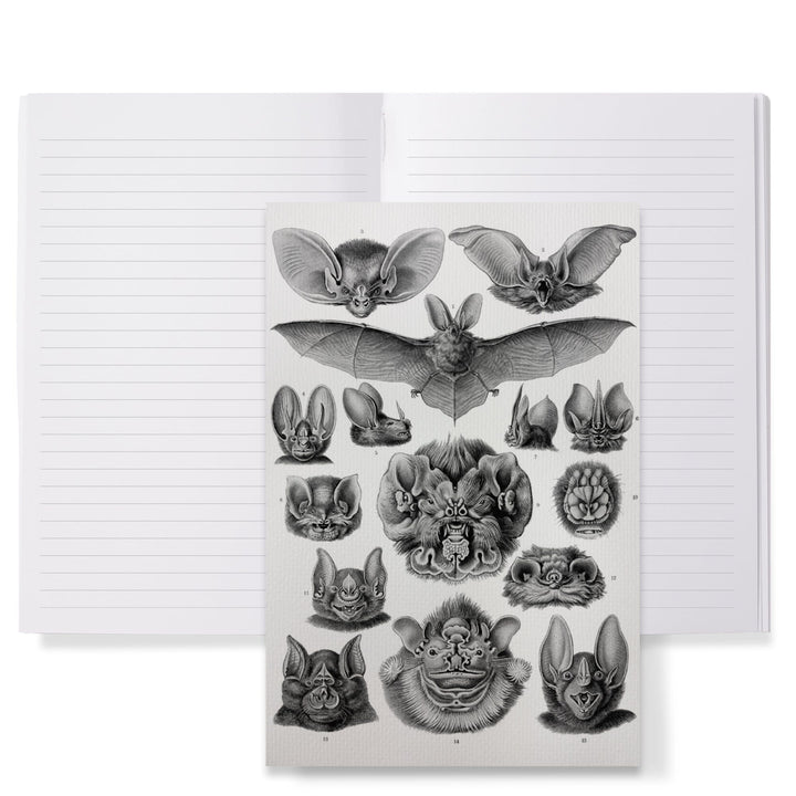 Lined 6x9 Journal, Art Forms of Nature, Chiroptera (Bats), Ernst Haeckel Artwork, Lay Flat, 193 Pages, FSC paper Home Lantern Press