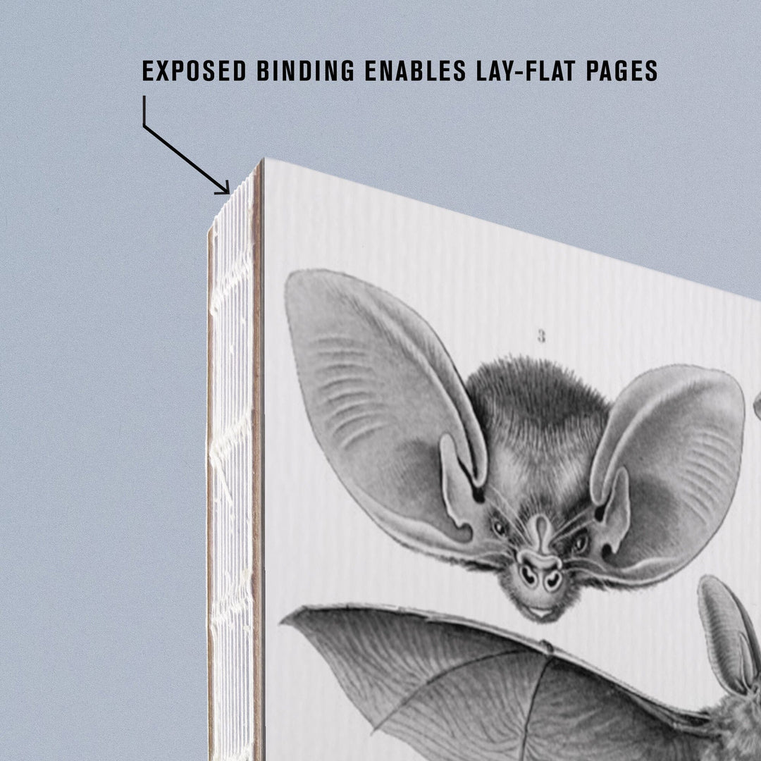 Lined 6x9 Journal, Art Forms of Nature, Chiroptera (Bats), Ernst Haeckel Artwork, Lay Flat, 193 Pages, FSC paper Home Lantern Press
