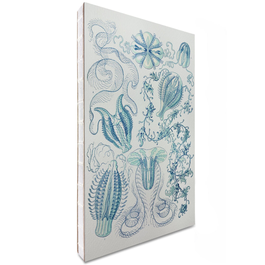 Lined 6x9 Journal, Art Forms of Nature, Ctenophorae, Ernst Haeckel Artwork, Lay Flat, 193 Pages, FSC paper Home Lantern Press