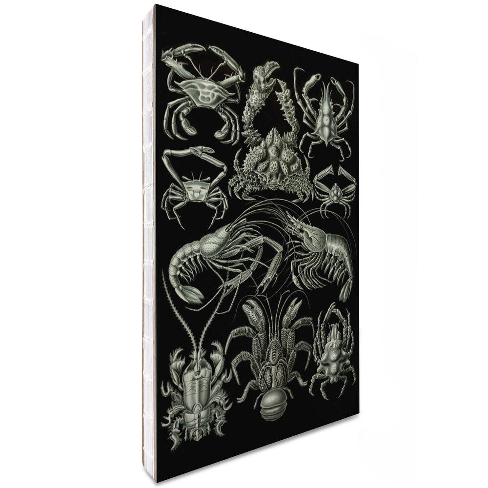 Lined 6x9 Journal, Art Forms of Nature, Decapoda (Crustaceans), Ernst Haeckel Artwork, Lay Flat, 193 Pages, FSC paper Home Lantern Press