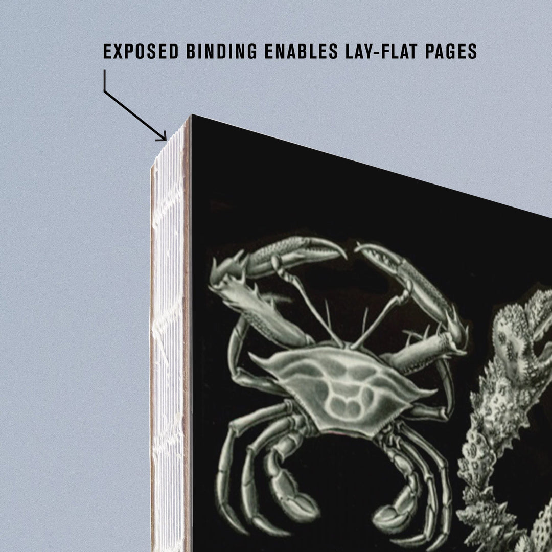 Lined 6x9 Journal, Art Forms of Nature, Decapoda (Crustaceans), Ernst Haeckel Artwork, Lay Flat, 193 Pages, FSC paper Home Lantern Press