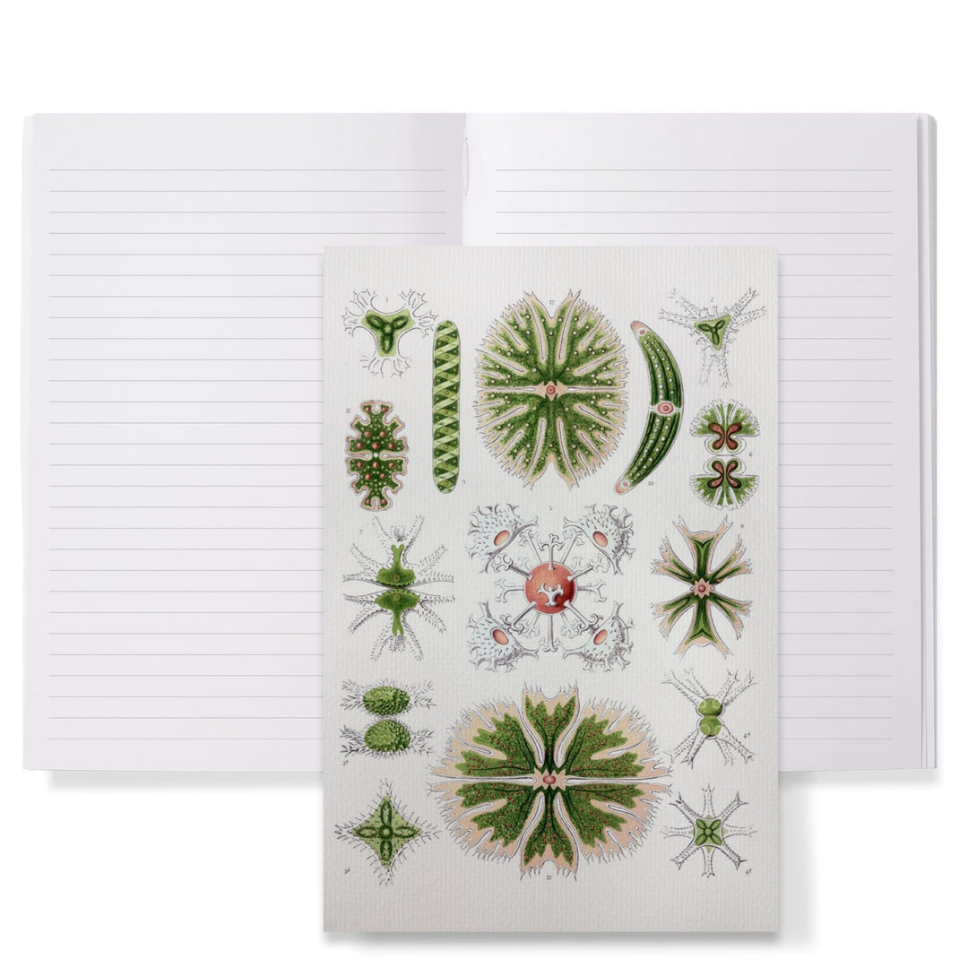 Lined 6x9 Journal, Art Forms of Nature, Desmidiea (Algae), Ernst Haeckel Artwork, Lay Flat, 193 Pages, FSC paper Home Lantern Press