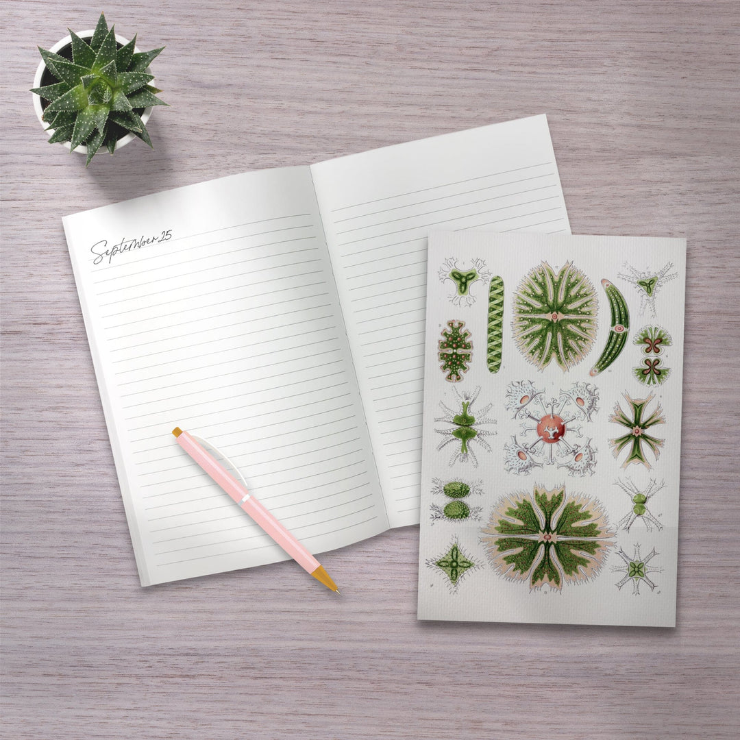 Lined 6x9 Journal, Art Forms of Nature, Desmidiea (Algae), Ernst Haeckel Artwork, Lay Flat, 193 Pages, FSC paper Home Lantern Press