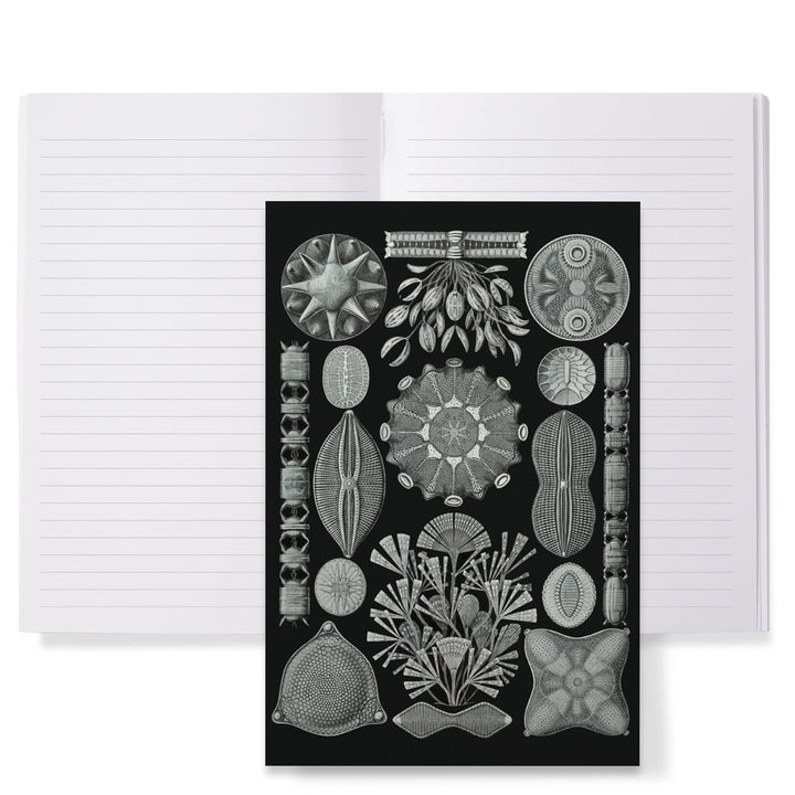 Lined 6x9 Journal, Art Forms of Nature, Diatomea, Ernst Haeckel Artwork, Lay Flat, 193 Pages, FSC paper Home Lantern Press