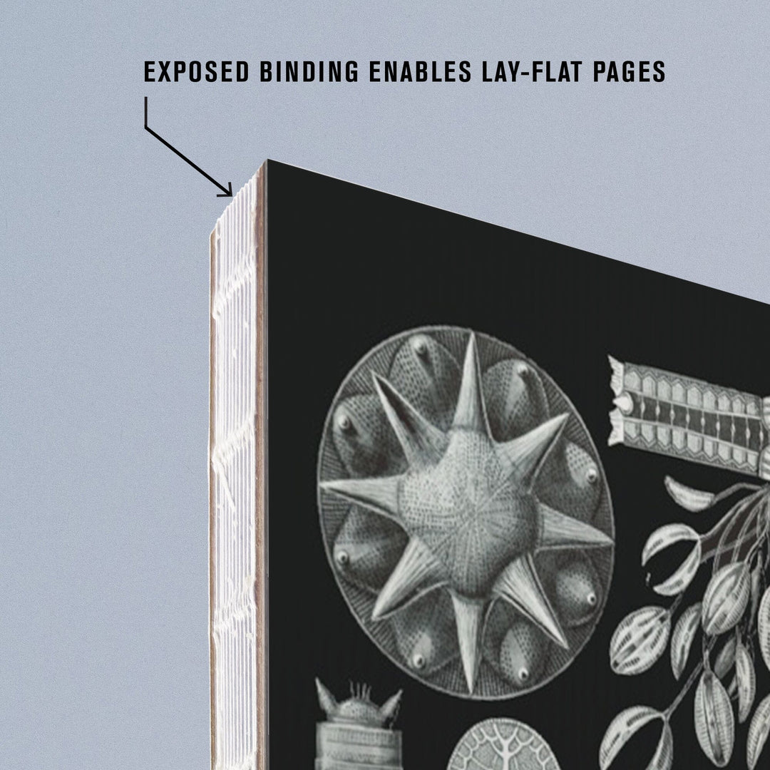 Lined 6x9 Journal, Art Forms of Nature, Diatomea, Ernst Haeckel Artwork, Lay Flat, 193 Pages, FSC paper Home Lantern Press