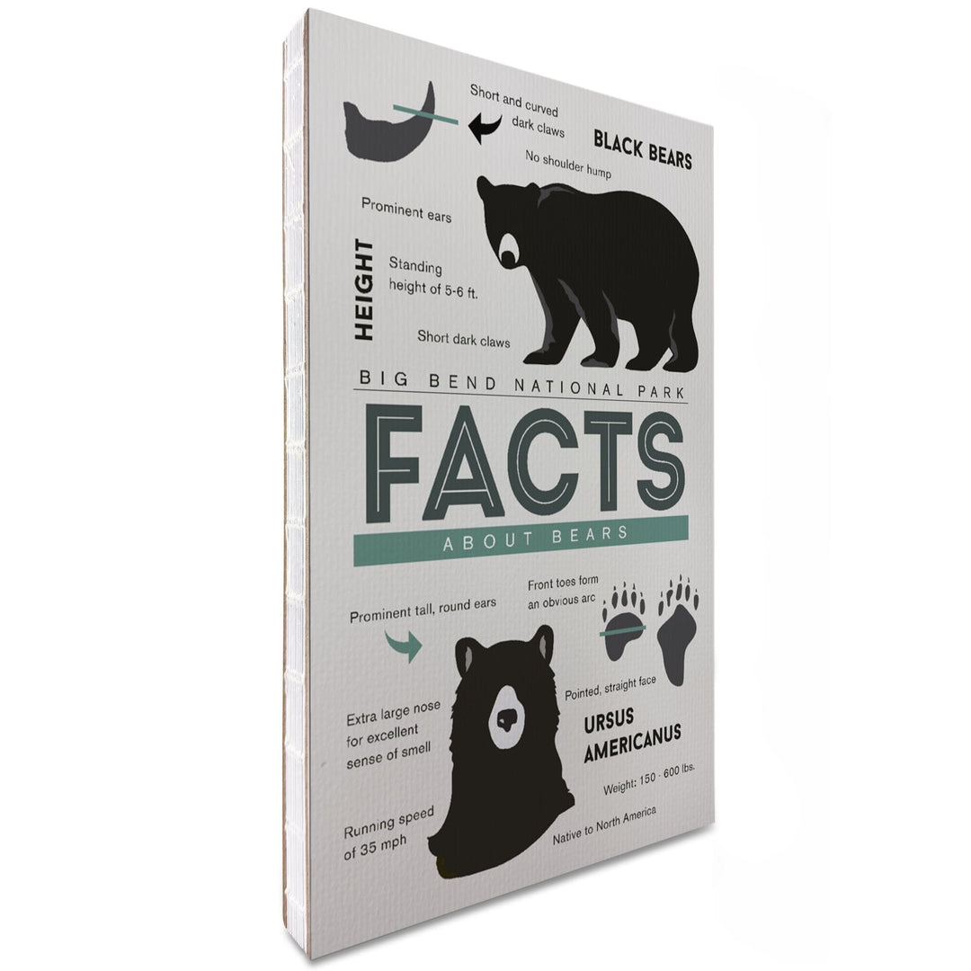 Lined 6x9 Journal, Big Bend National Park, Texas, Facts About Black Bears, Lay Flat, 193 Pages, FSC paper Home Lantern Press