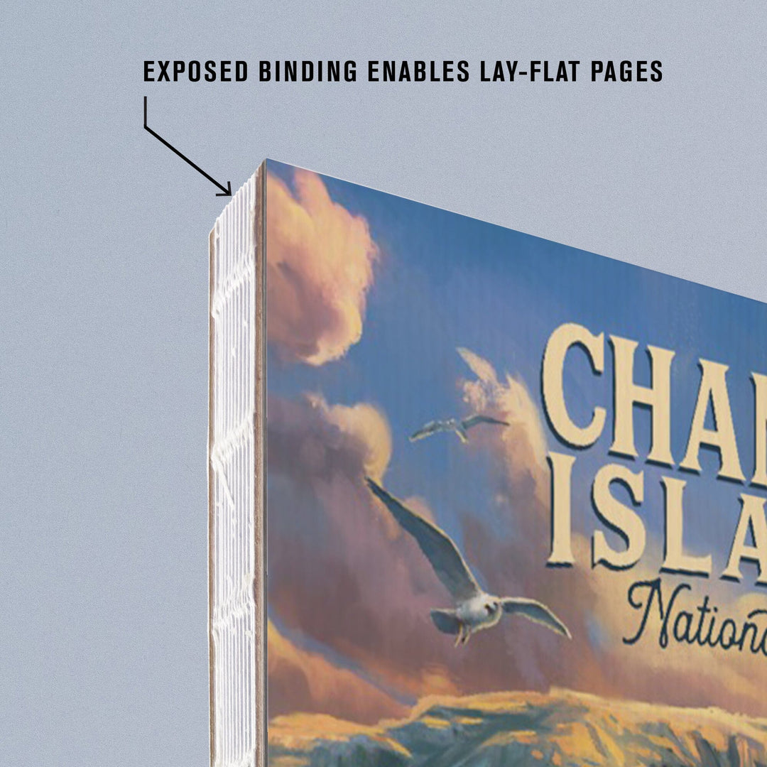 Lined 6x9 Journal, Channel Islands National Park, California, Oil Painting, Lay Flat, 193 Pages, FSC paper Home Lantern Press