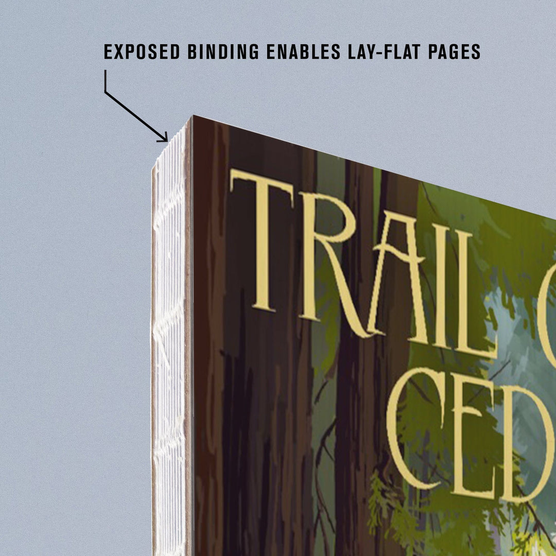 Lined 6x9 Journal, Glacier National Park, Montana, Trail of the Cedars, Lay Flat, 193 Pages, FSC paper Home Lantern Press