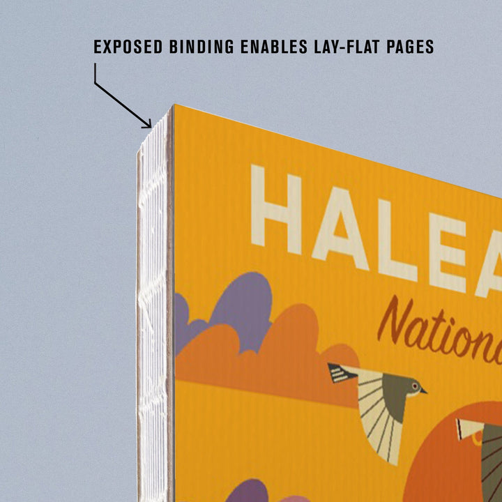 Lined 6x9 Journal, Haleakalā National Park, Hawaii, Geometric National Park Series, Lay Flat, 193 Pages, FSC paper Home Lantern Press