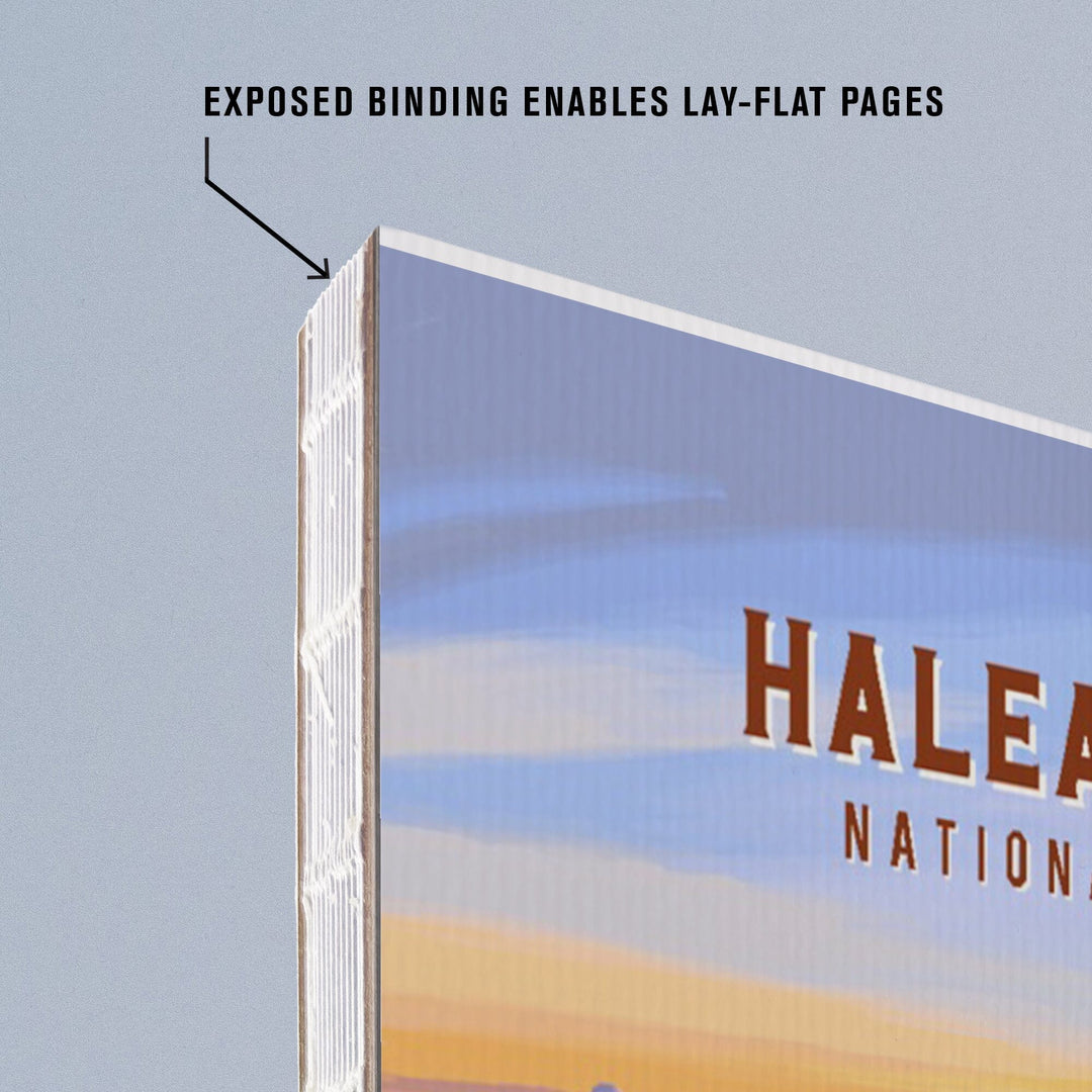 Lined 6x9 Journal, Haleakalā National Park, Hawaii, Painterly National Park Series, Lay Flat, 193 Pages, FSC paper Home Lantern Press