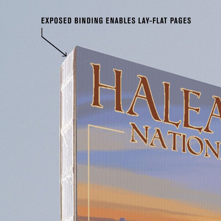 Lined 6x9 Journal, Haleakalā National Park, Sunrise, Lay Flat, 193 Pages, FSC paper Home Lantern Press