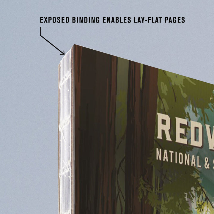 Lined 6x9 Journal, Redwood National and State Parks, California, Painterly National Park Series, Lay Flat, 193 Pages, FSC paper Home Lantern Press