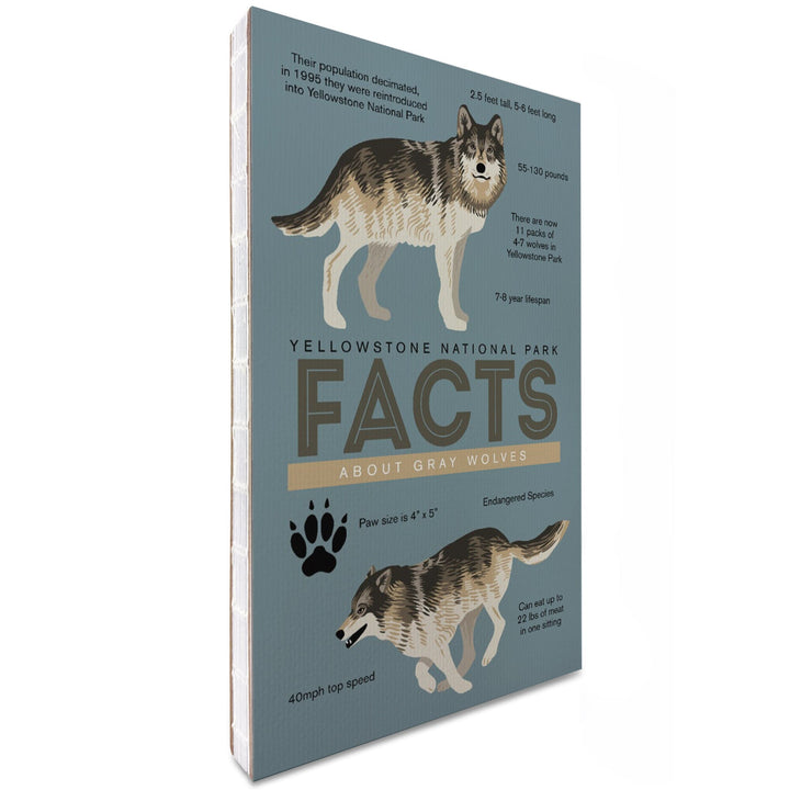 Lined 6x9 Journal, Yellowstone National Park, Facts About Gray Wolves, Lay Flat, 193 Pages, FSC paper Home Lantern Press