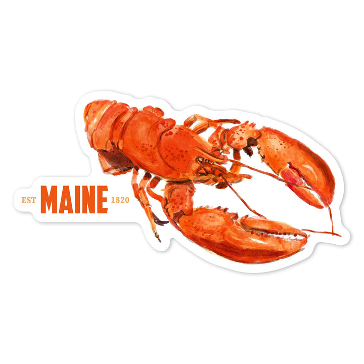 Maine, Lobster, Watercolor, Contour, Vinyl Sticker Sticker Lantern Press