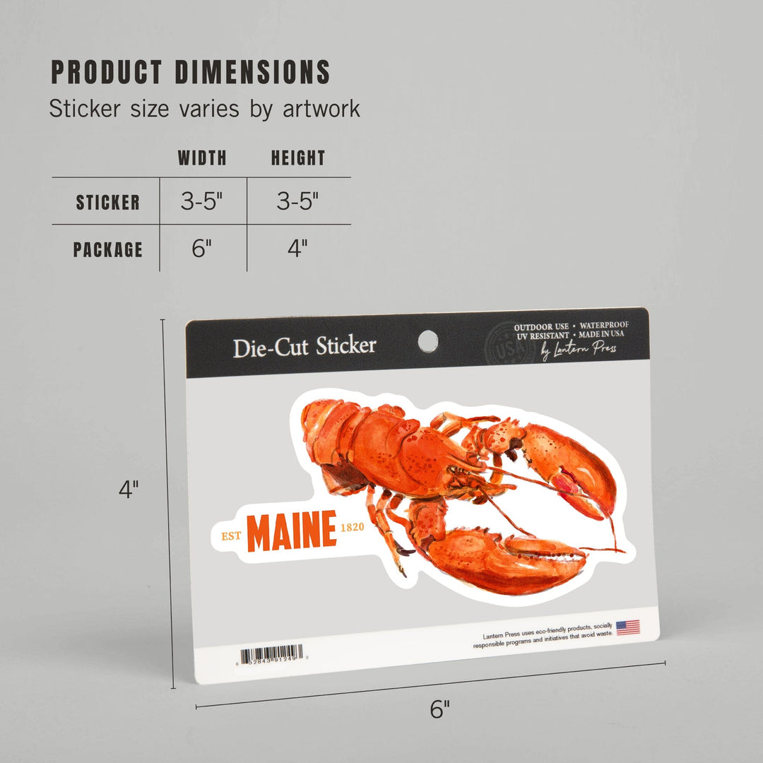 Maine, Lobster, Watercolor, Contour, Vinyl Sticker Sticker Lantern Press