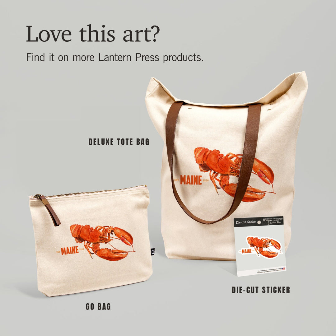 Maine, Lobster, Watercolor, Contour, Vinyl Sticker Sticker Lantern Press