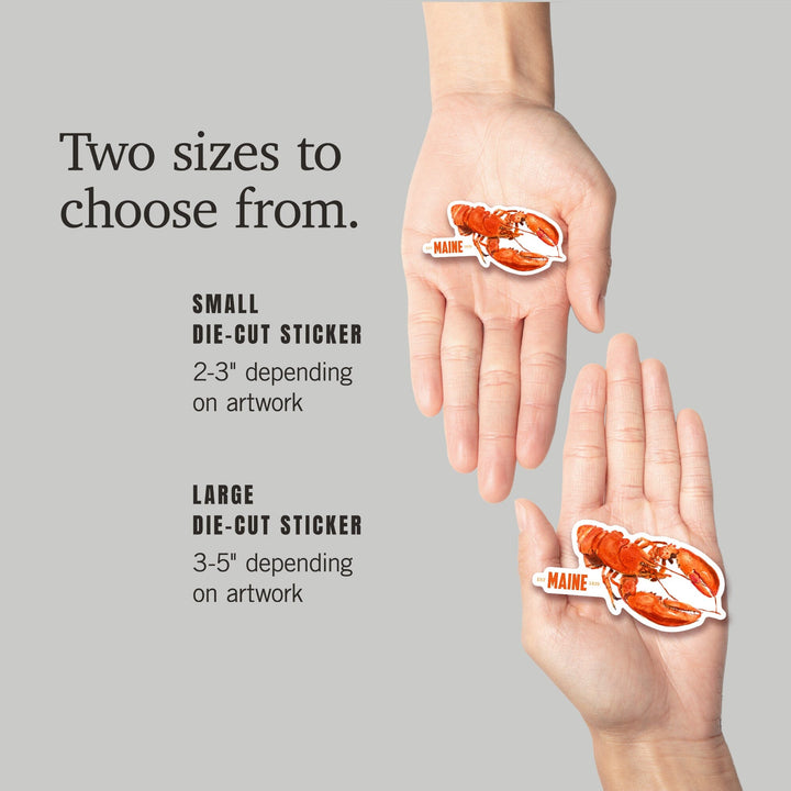 Maine, Lobster, Watercolor, Contour, Vinyl Sticker Sticker Lantern Press