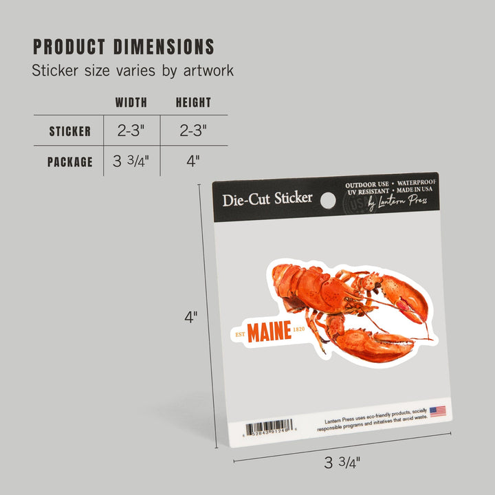 Maine, Lobster, Watercolor, Contour, Vinyl Sticker Sticker Lantern Press