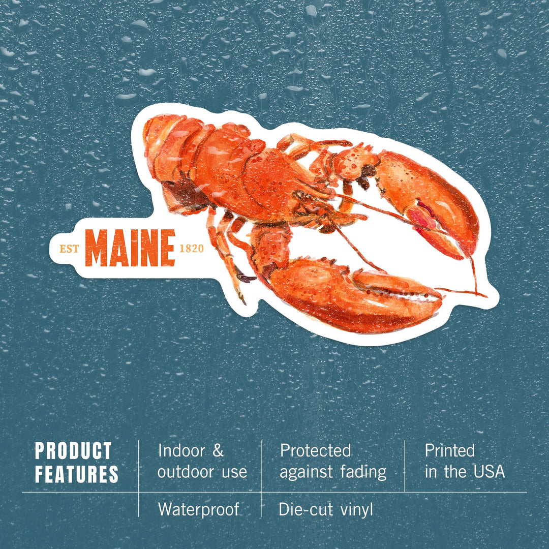 Maine, Lobster, Watercolor, Contour, Vinyl Sticker Sticker Lantern Press