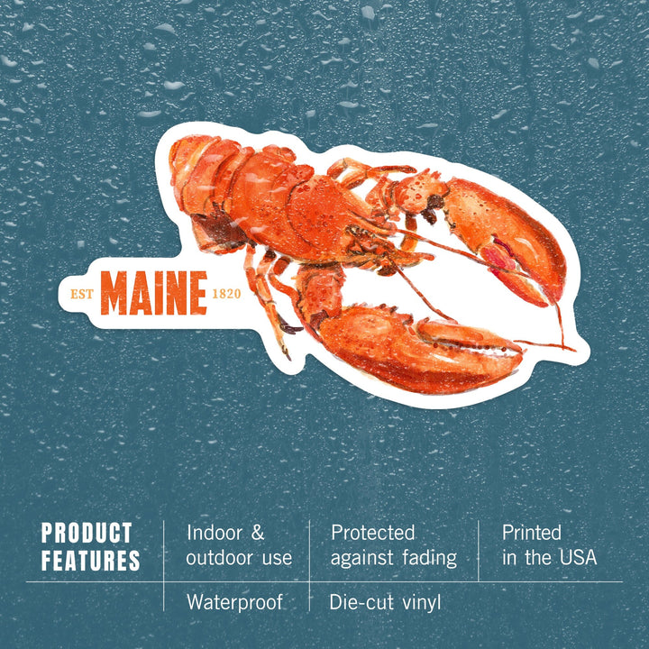 Maine, Lobster, Watercolor, Contour, Vinyl Sticker Sticker Lantern Press