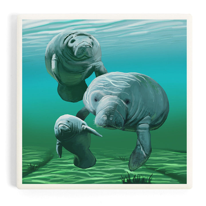 Manatees, Coasters Coasters Lantern Press Coaster