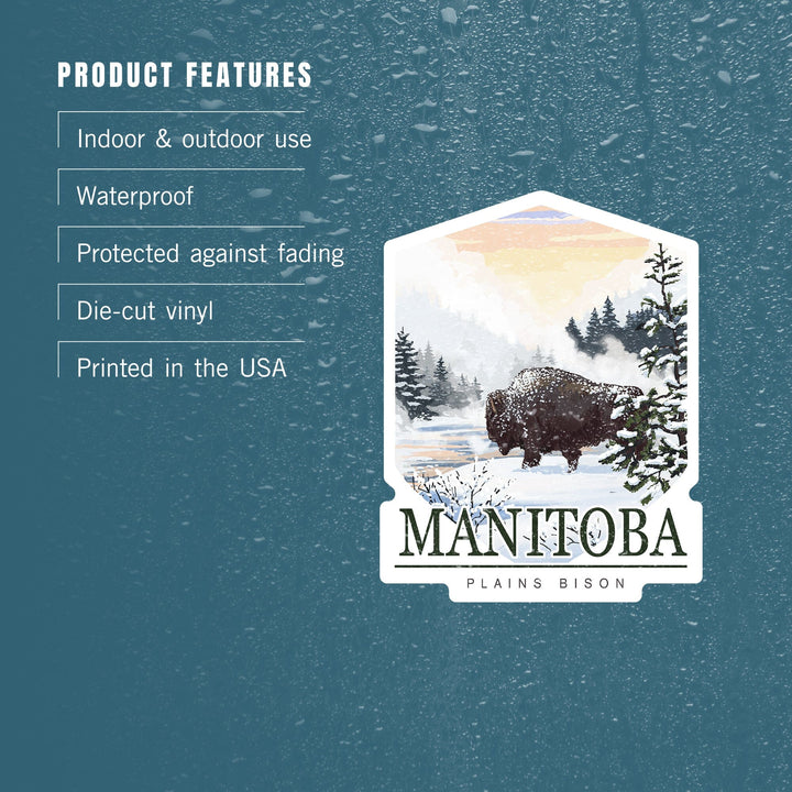 Manitoba, Canada, Bison Snow Scene, Contour, Lantern Press Artwork, Vinyl Sticker - Lantern Press