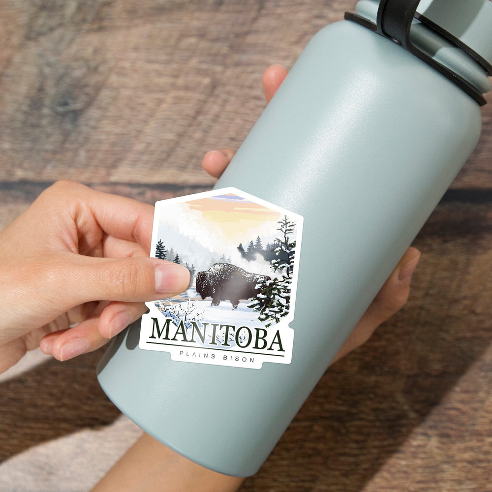 Manitoba, Canada, Bison Snow Scene, Contour, Lantern Press Artwork, Vinyl Sticker - Lantern Press