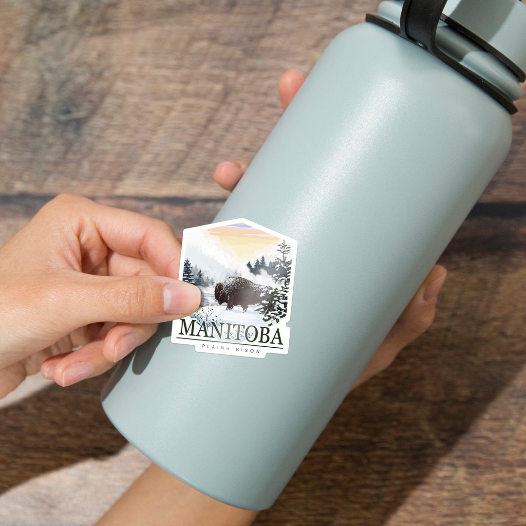 Manitoba, Canada, Bison Snow Scene, Contour, Lantern Press Artwork, Vinyl Sticker - Lantern Press