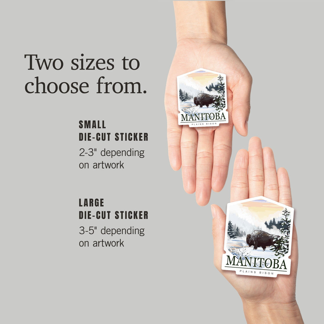 Manitoba, Canada, Bison Snow Scene, Contour, Lantern Press Artwork, Vinyl Sticker - Lantern Press
