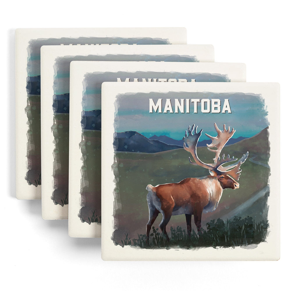 Manitoba, Watercolor Study, Caribou, Coasters Coasters Lantern Press