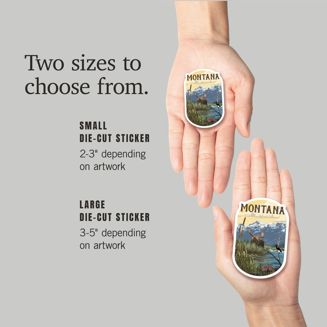 Montana, Moose & Marsh Scene, Contour, Lantern Press Artwork, Vinyl Sticker Sticker Lantern Press