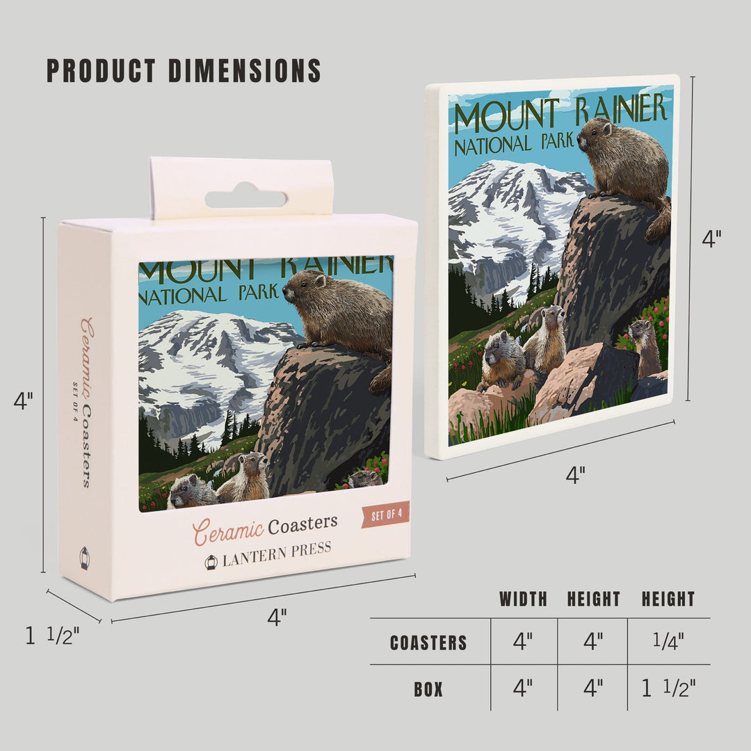 Mount Rainier National Park, Washington, Marmots, Coasters Coasters Lantern Press