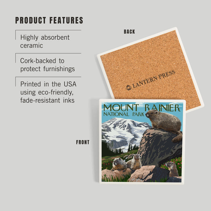 Mount Rainier National Park, Washington, Marmots, Coasters Coasters Lantern Press