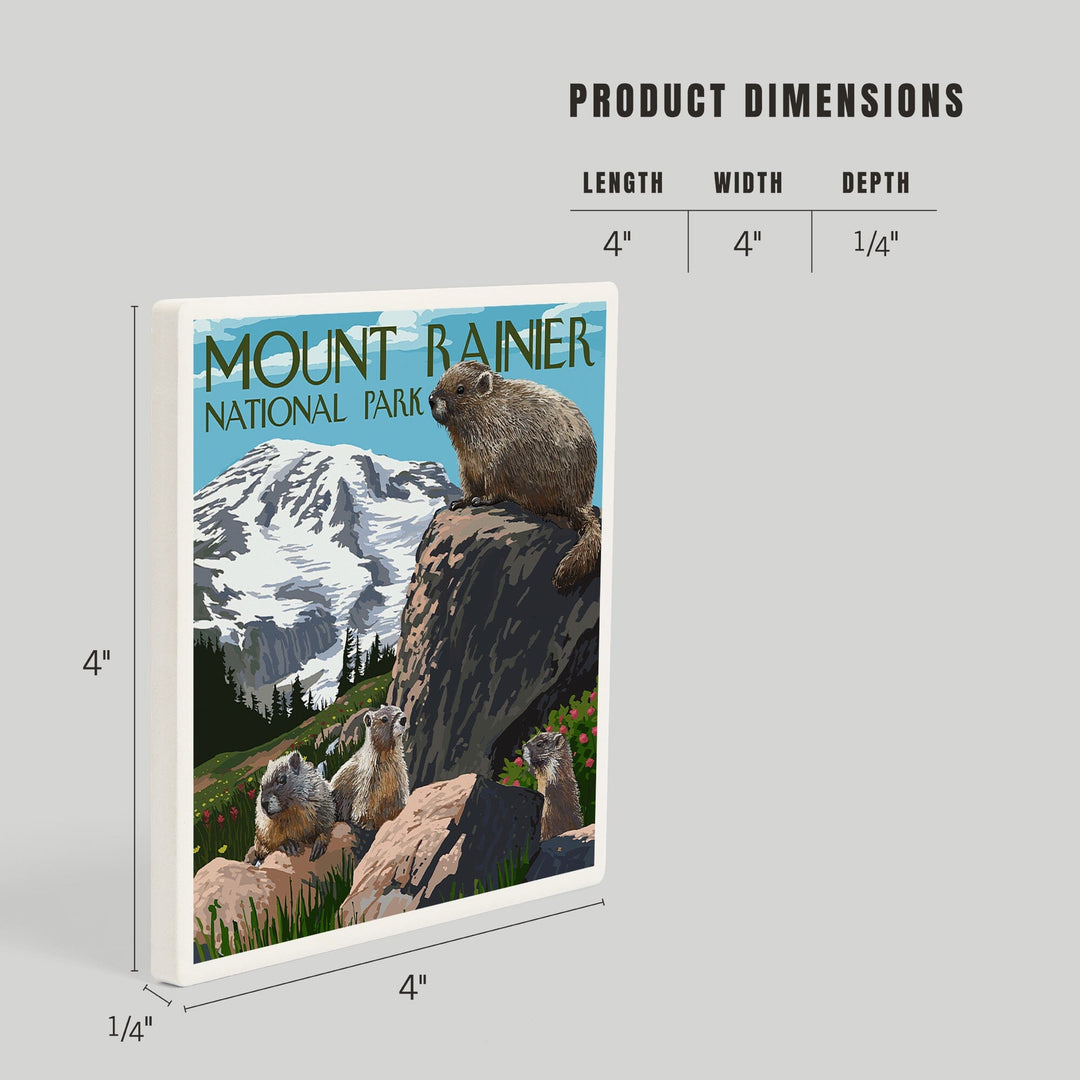 Mount Rainier National Park, Washington, Marmots, Coasters Coasters Lantern Press