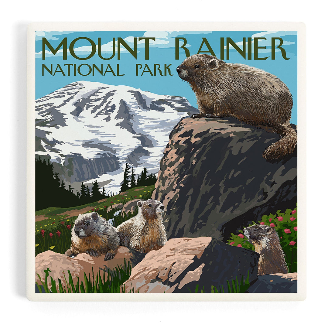Mount Rainier National Park, Washington, Marmots, Coasters Coasters Lantern Press Coaster