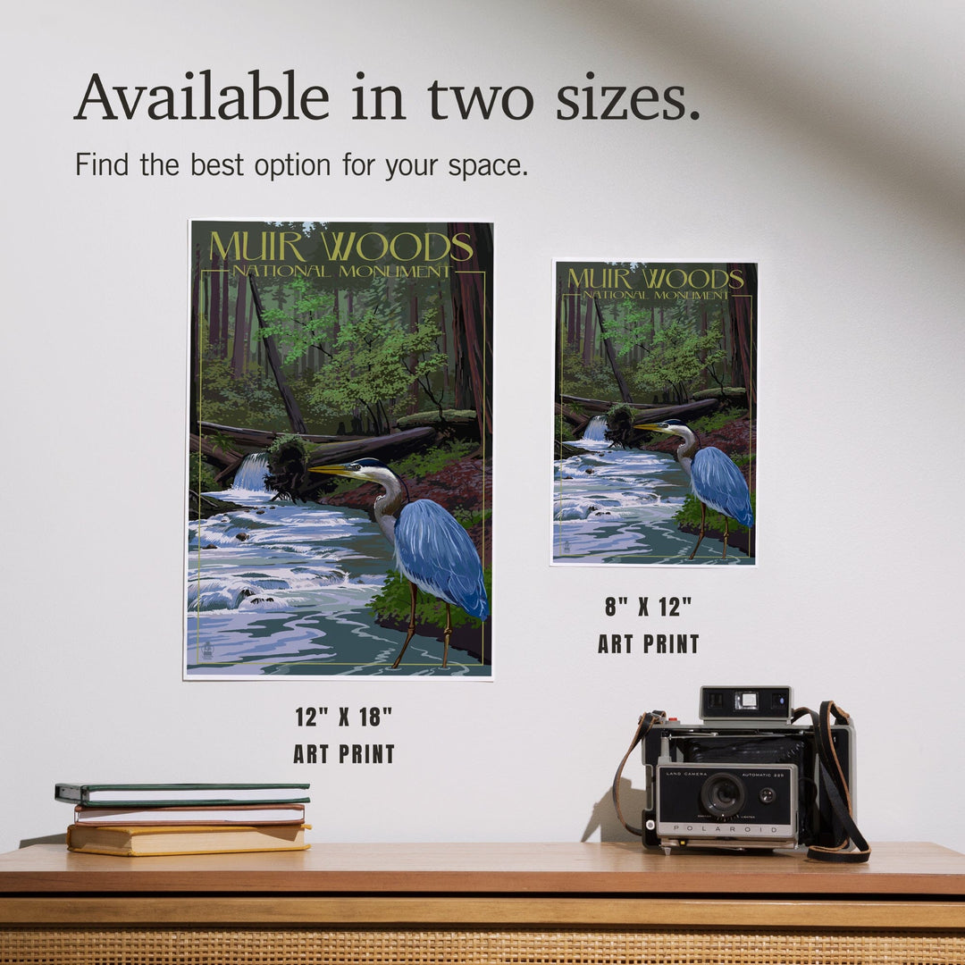 Muir Woods National Monument, California, Blue Heron, Art & Giclee Prints Art Lantern Press