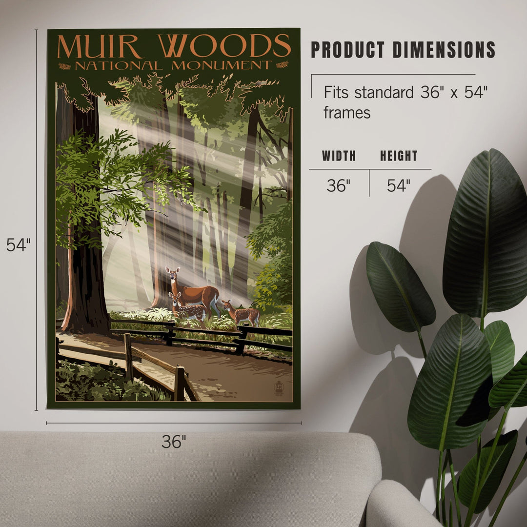 Muir Woods National Monument, California, Deer and Fawns, Art & Giclee Prints Art Lantern Press