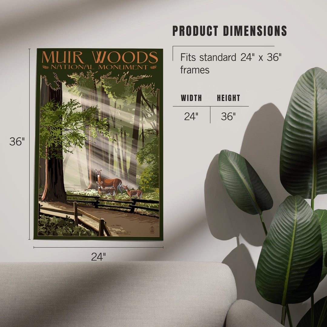 Muir Woods National Monument, California, Deer and Fawns, Art & Giclee Prints Art Lantern Press