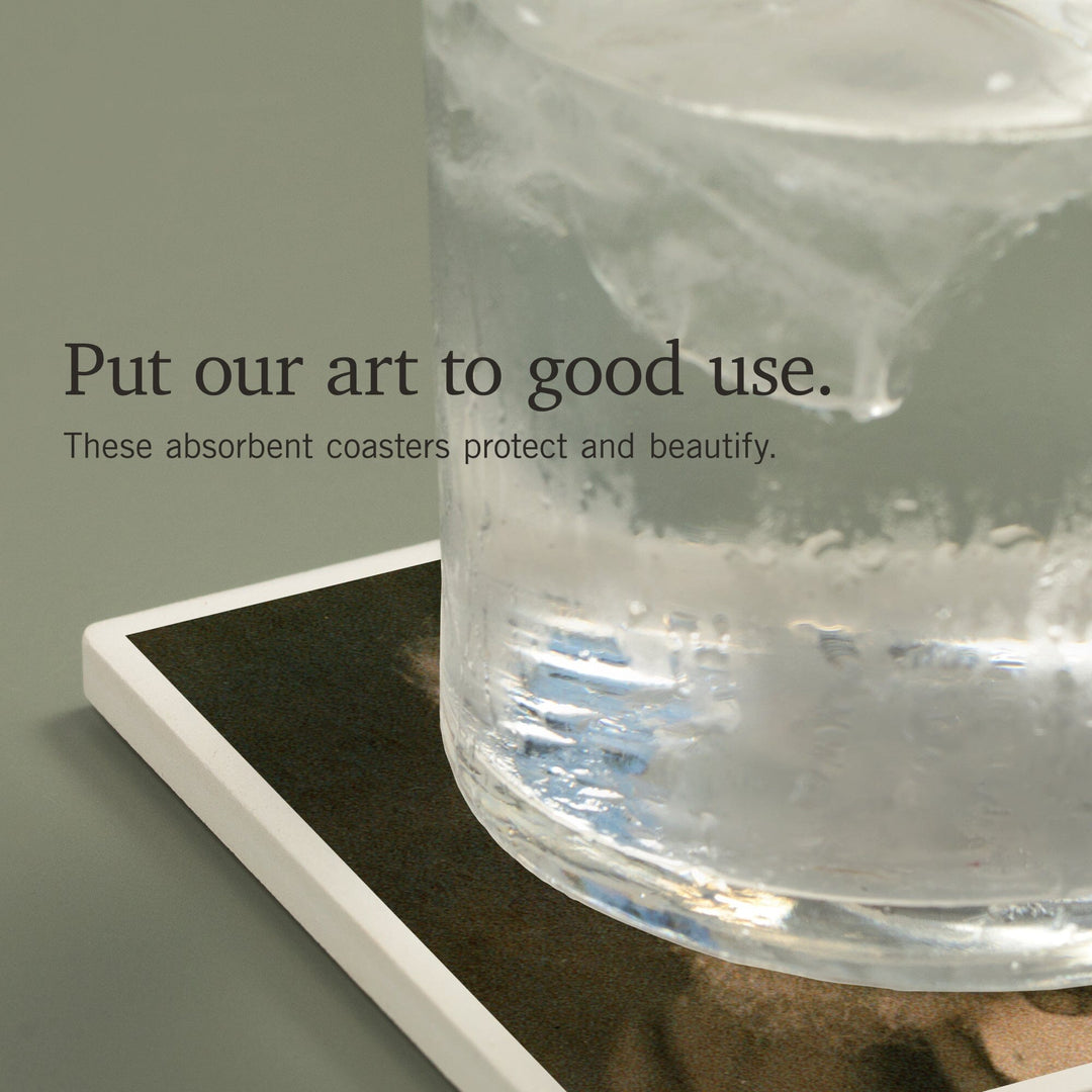 Muir Woods National Monument, California, John Muir Portrait, Coasters Coasters Lantern Press