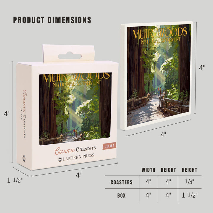 Muir Woods National Monument, California, Pathway, Coasters Coasters Lantern Press