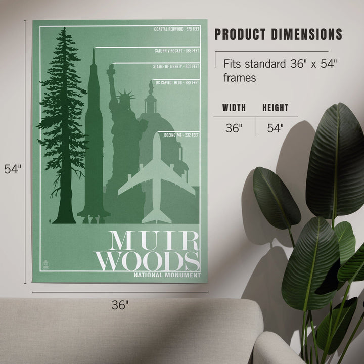 Muir Woods National Monument, California, Relative Sizes of the Redwood Tree, Art & Giclee Prints Art Lantern Press