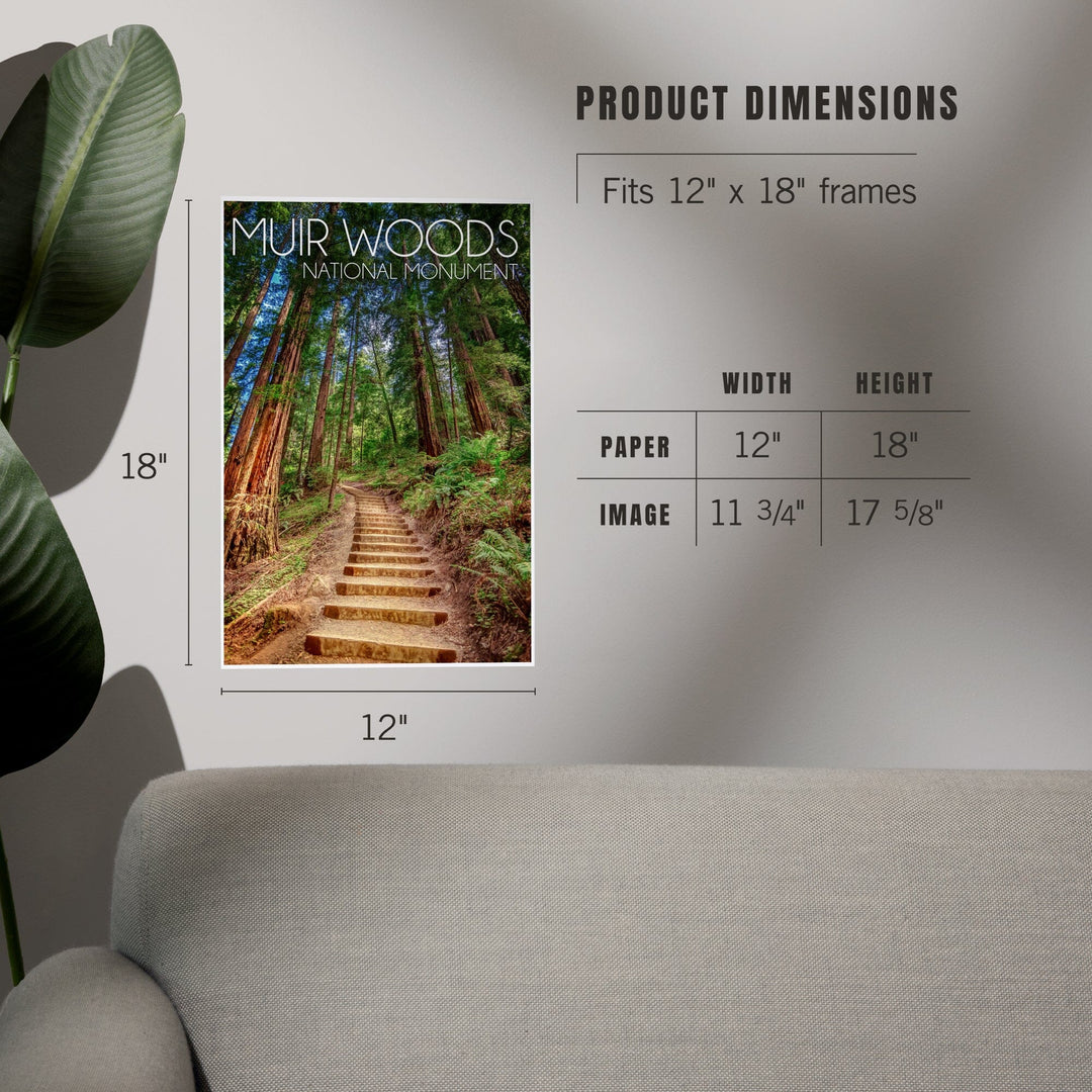 Muir Woods National Monument, California, Stairs, Photography, Art & Giclee Prints Art Lantern Press