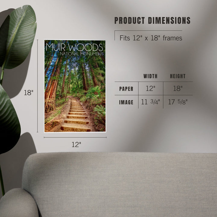 Muir Woods National Monument, California, Stairs, Photography, Art & Giclee Prints Art Lantern Press