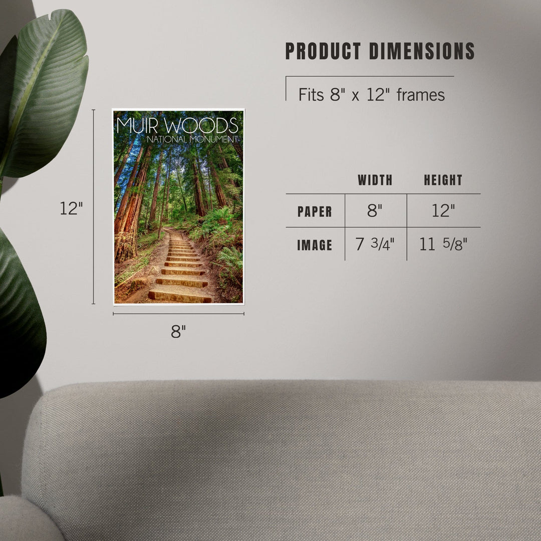 Muir Woods National Monument, California, Stairs, Photography, Art & Giclee Prints Art Lantern Press
