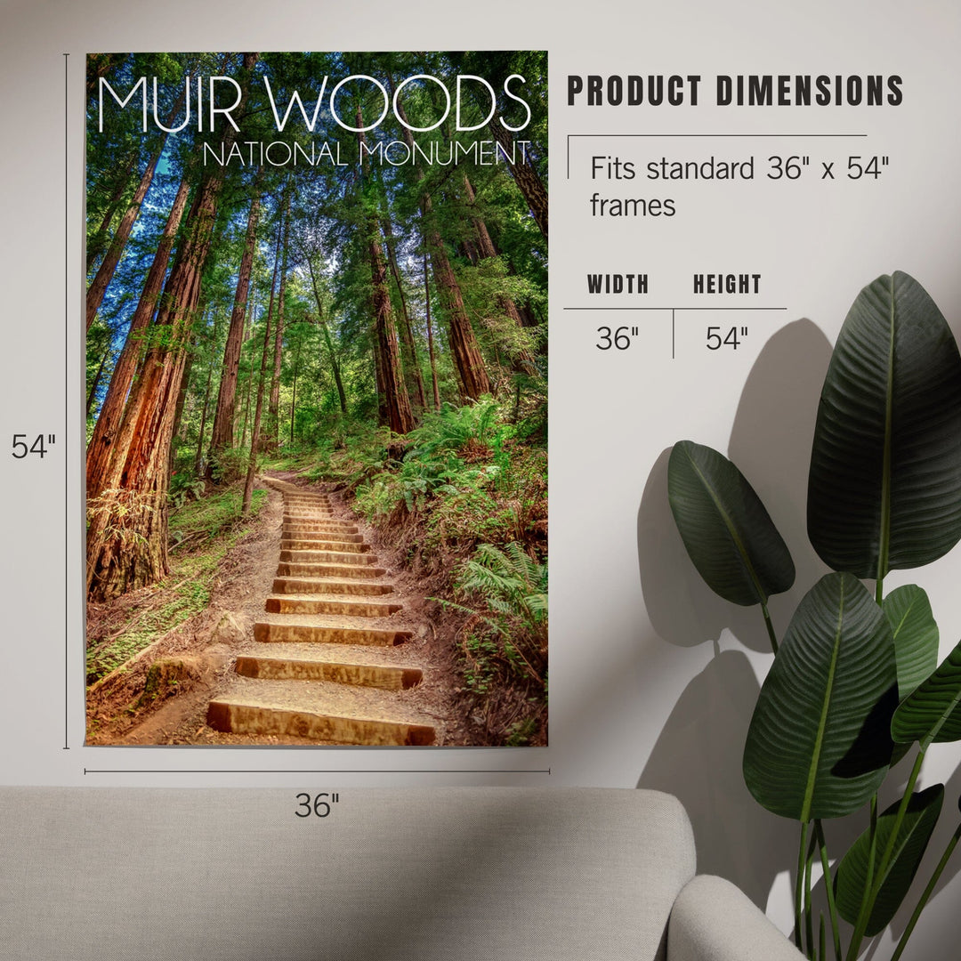 Muir Woods National Monument, California, Stairs, Photography, Art & Giclee Prints Art Lantern Press