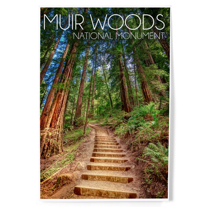 Muir Woods National Monument, California, Stairs, Photography, Art & Giclee Prints Art Lantern Press