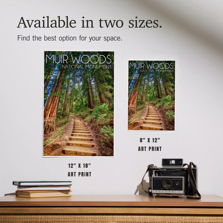 Muir Woods National Monument, California, Stairs, Photography, Art & Giclee Prints Art Lantern Press