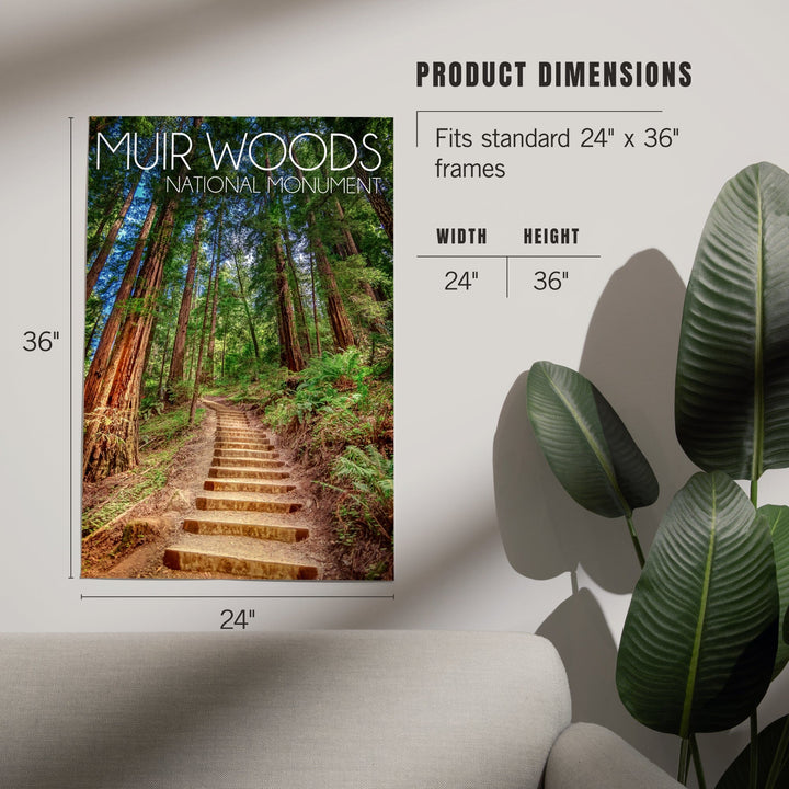 Muir Woods National Monument, California, Stairs, Photography, Art & Giclee Prints Art Lantern Press