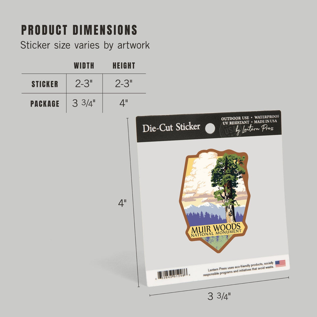Muir Woods National Monument, California, Towering Redwood, Contour, Vinyl Sticker Sticker Lantern Press